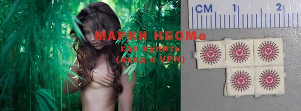 амф Осташков