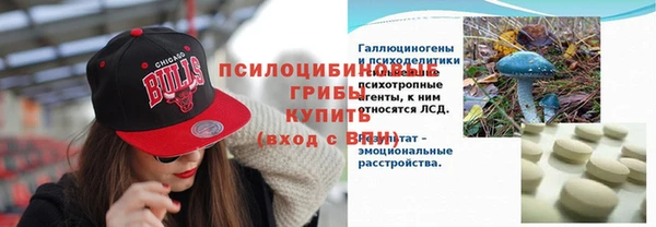 амф Осташков