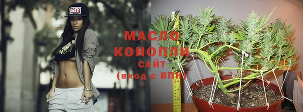 сатива Ленинск-Кузнецкий