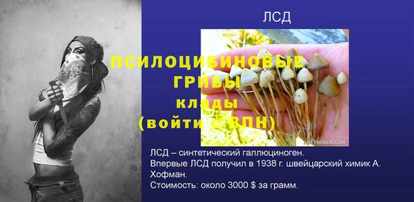 амф Осташков