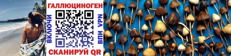 Галлюциногенные грибы GOLDEN TEACHER  Купить  Заозёрный 